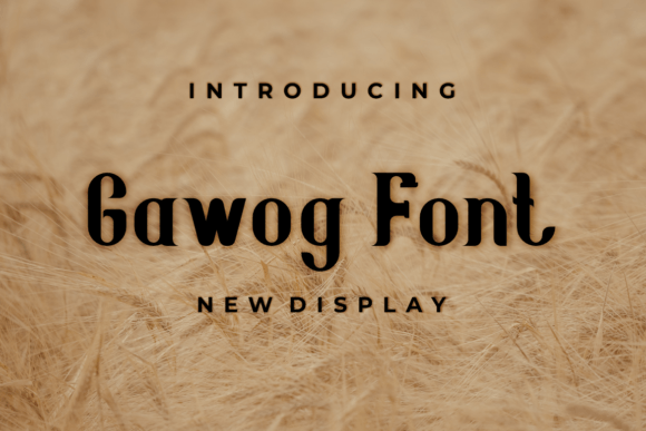 Gawog: The Modern Display Font for Editorial Design