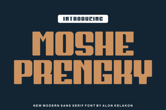 Moshe Prengky: The Bold Display Font You Need