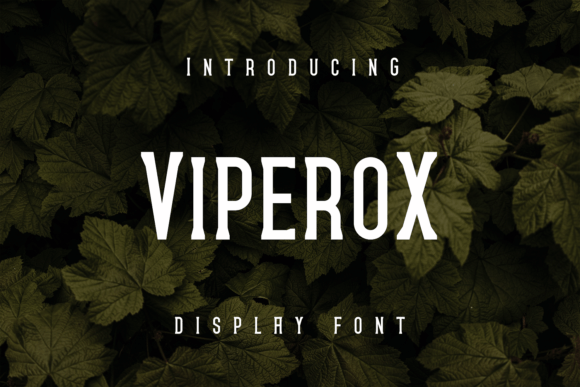 Viperox Display Font for Modern Brand Identity